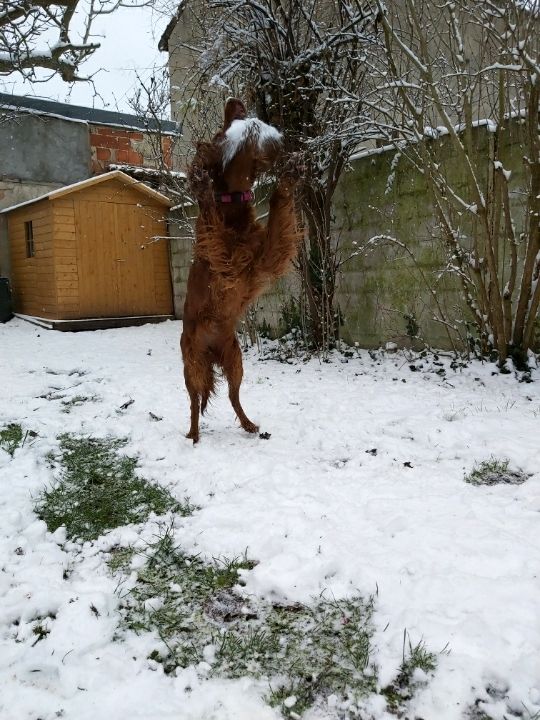 du Rû Du Moulinet - J'CRUNCHIE profite aussi de la neige d'Ile de France