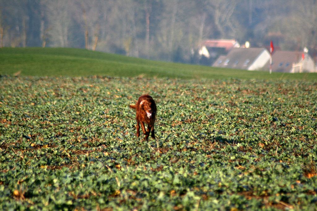 Jalna du Rû Du Moulinet