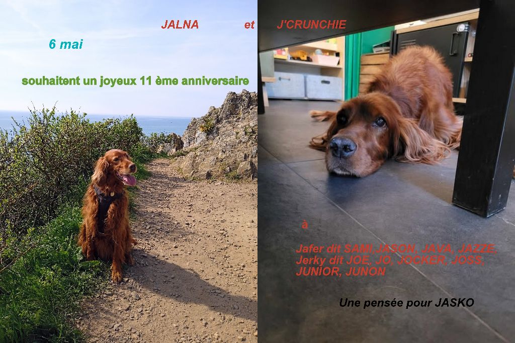 6 mai Anniversaire des 